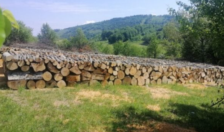 Policia konfiskon 70 metra kub drunj të kontrabanduar nga Serbia