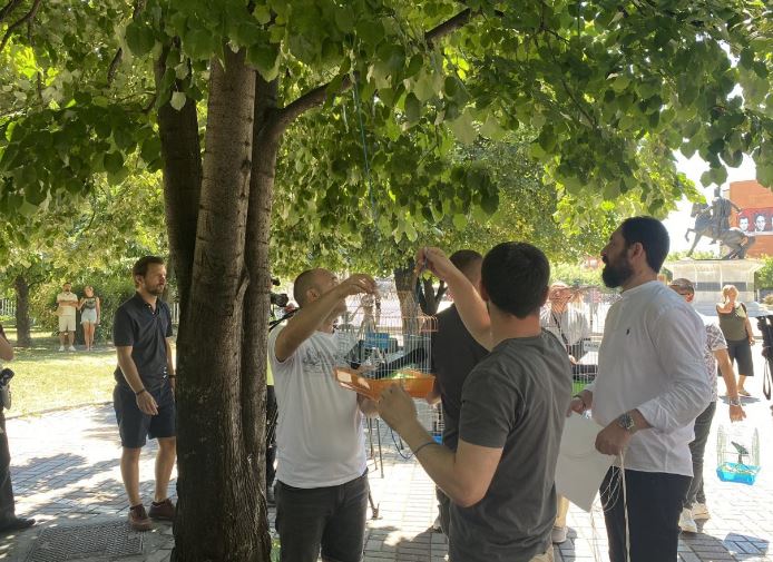 psd-ja-me-aksion-para-qeverise-ne-mbrojtje-te-gazetareve-(foto)