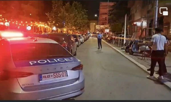 dosja-e-prokurorise-qe-tregon-ne-detaje-se-si-ndodhi-vrasja-ne-bon-vivant