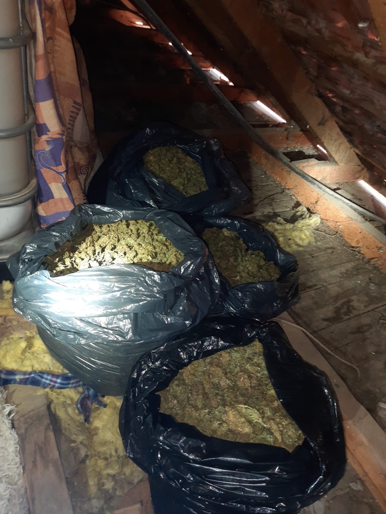 gjenden-60kg-droge-ne-kashte-ne-skenderaj,-arrestohet-28-vjecari