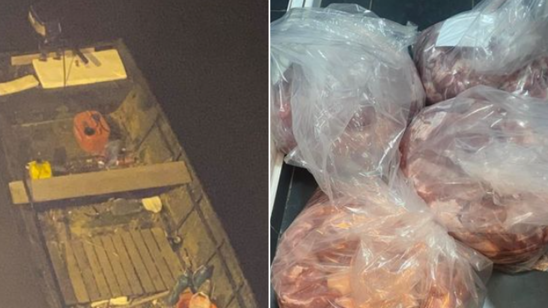 Arrestohen tre persona për kontrabandim me mallra nga Serbia në Kosovë, konfiskohen katër qese me mish derri