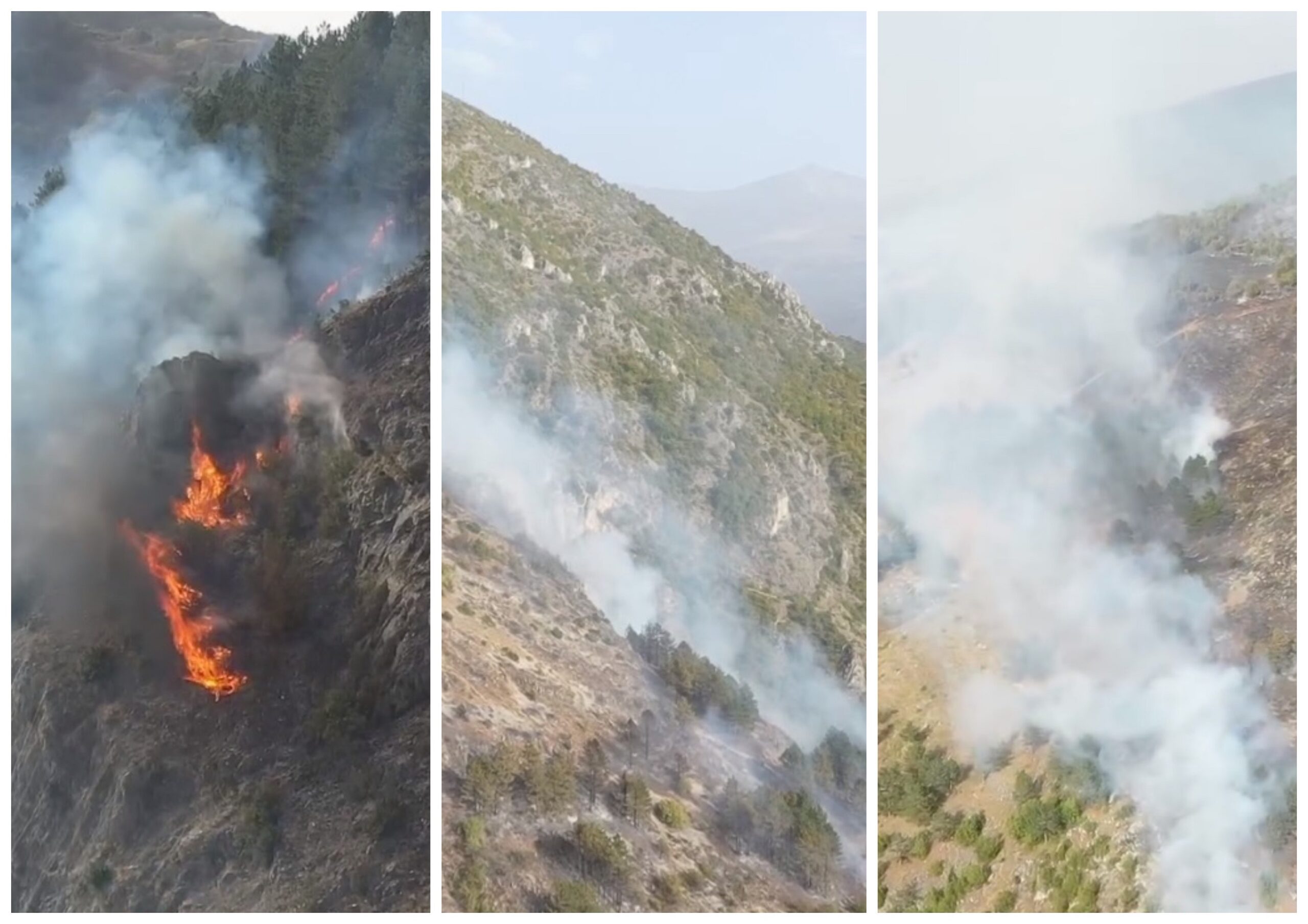 zjarr-ne-prizren,-komuna-dyshon-ne-zjarrvenie-te-qellimshme