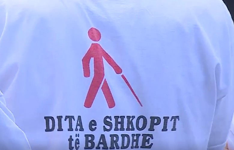 dita-e-shkopit-te-bardhe,-tishaku:-sfide-e-madhe-eshte-qasja-fizike