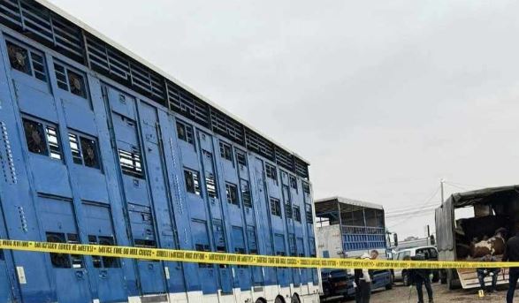 policia-identifikon-tre-te-dyshuar-pas-shperthimit-ne-prizren