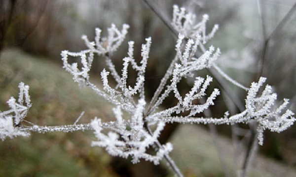 bore-dhe-temperaturat-10°c-–-ky-eshte-parashikimi-i-motit-per-ditet-ne-vijim