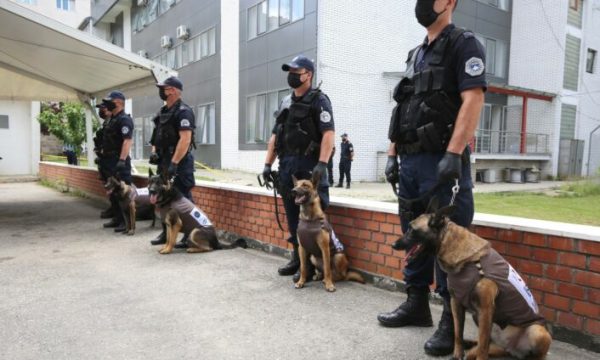 policia-e-kosoves-blen-tete-qen,-shuma-e-tyre-pothuajse-45-mije-euro