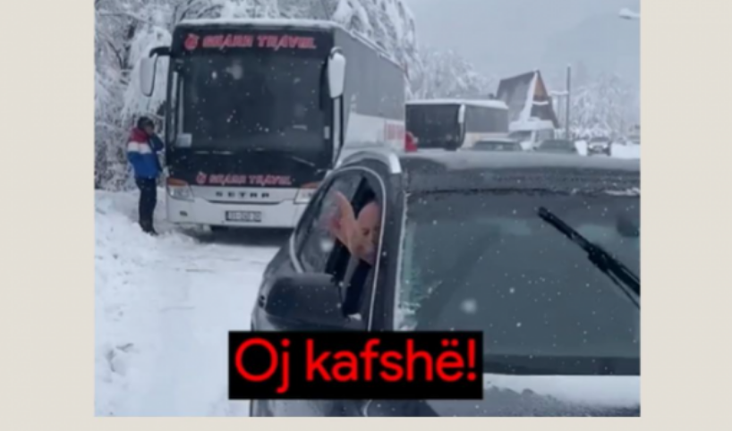 “oj-kafshe”,-agk-reagon-pas-sulmit-dhe-pengimit-te-gazetares-kosovare-ne-brezovice