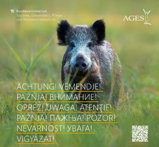 austria-ndalon-importimin-e-mishit-te-derrit-nga-vendet-jo-anetare-te-be-se