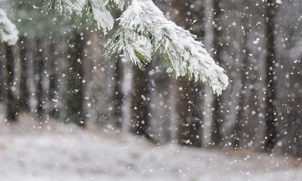 kushte-te-paqendrueshme-meteorologjike/java-e-ardhshme-me-reshje-bore