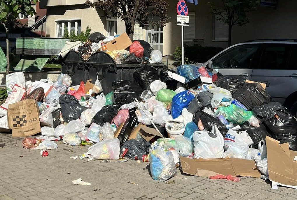 Azemi i LDK-së: Gjendja me mbeturina në Ferizaj është alarmante, Aliu është i papërgjegjshëm