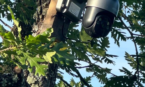 Policia gjen dy kamera që ishin vendosur pa autorizim në brezin kufitar mes Kosovës dhe Serbisë