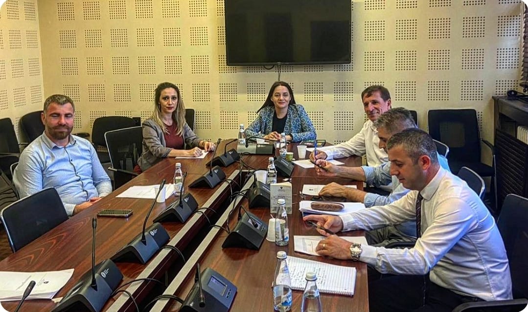 perfundon-drafti-per-ligjin-qe-ndalon-perdorimin-dhe-shitjen-e-pijeve-energjike