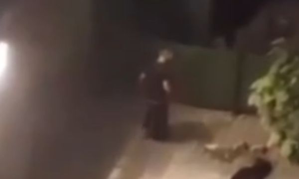 pamje-te-tmerrshme-kur-nje-burre-e-rr*ah-brutalisht-nje-grua-ne-prizren,-policia-jep-detaje