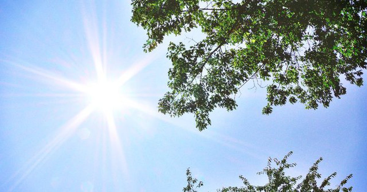 Moti sot me temperatura deri në 38 gradë Celsius