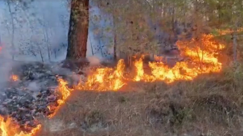 Gjakova: Përfshihen nga zjarri varrezat, dëmtohet një varr