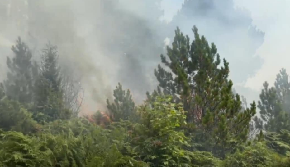 Riaktivizohen zjarret në Prevallë, qytetarët bëjnë thirrje për intervenim