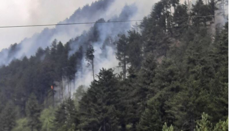 ​Pakujdesia e qytetarëve po shkakton zjarret, AME thotë se gjatë intervenimeve në Prevallë u lënduan disa zjarrfikës