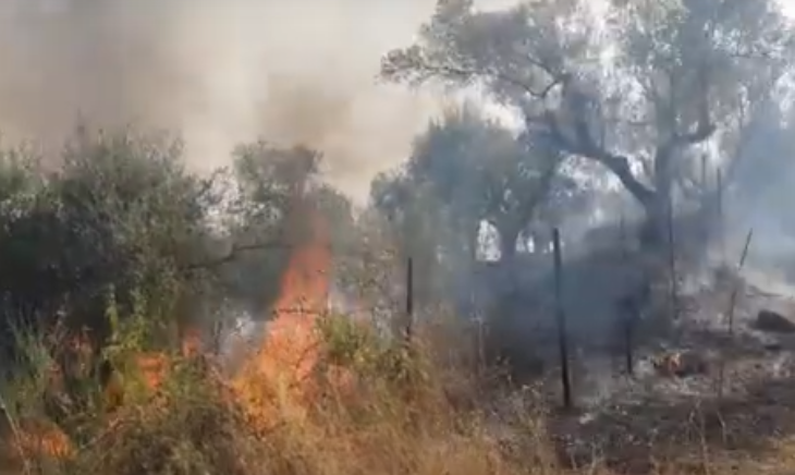 Zjarr i madh në Lipjan, digjen malet (Pamje)