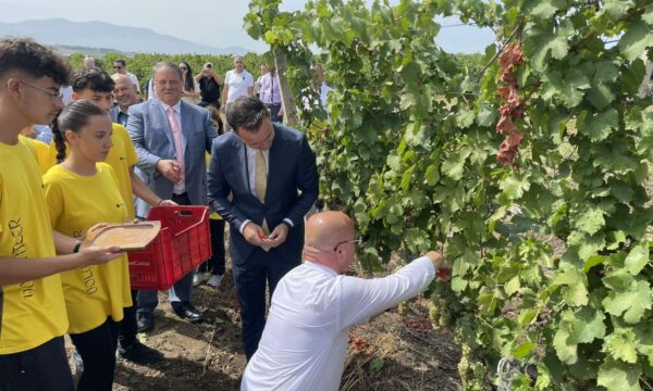 ministri-peci-dhe-kryetari-latifi-hapin-zyrtarisht-“hardh-fest”-me-prerjen-ceremoniale-te-kalaveshit-te-rrushit