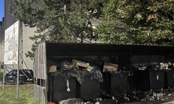 Pamje horror nga QKUK: “Qeni tapall” me shumë shokë shqyejnë fashat me gjak të pacientëve