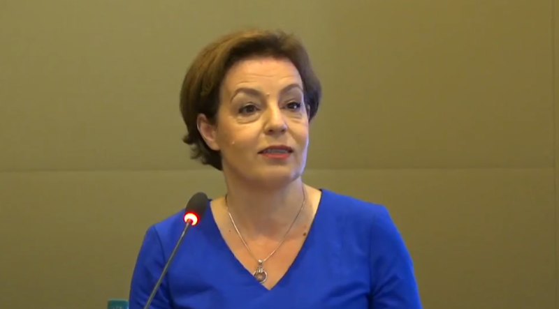 gervalla-udheton-per-ne-zvicer,-perfaqeson-kosoven-ne-konferencen-per-ukrainen