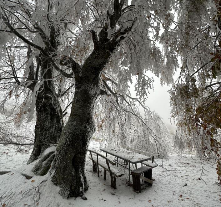 bora-zbukuron-fshatin-tugjec-te-kamenices