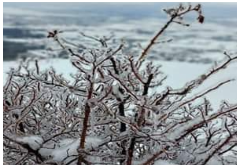 kosoven-e-presin-erera-te-fuqishme,-bore-e-acar