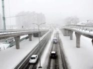 mot-i-vranet-e-me-reshje-bore-sot-ne-kosove