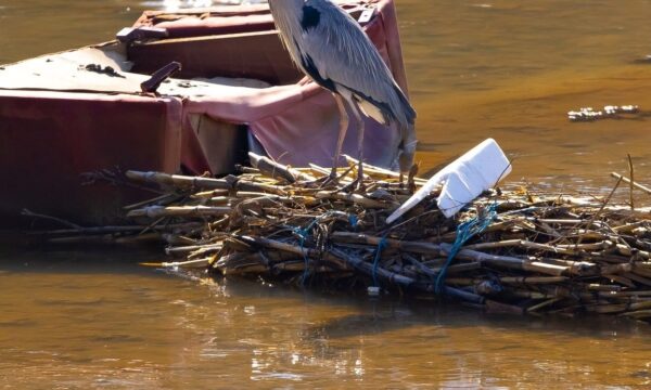 kdi-publikon-fotografi-shqetesuese-per-gjendjen-e-lumenjeve-te-shnderruar-ne-deponi-mbeturinash