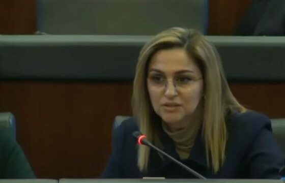 shqipe-mehmeti-selimi:-tani-eshte-radha-e-ldk-se-te-pergjigjet-me-refuzim-apo-me-nje-qasje-te-re