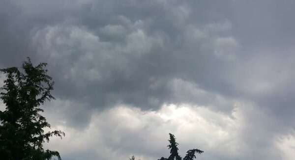 mot-sot-i-vranet,-priten-riga-shiu