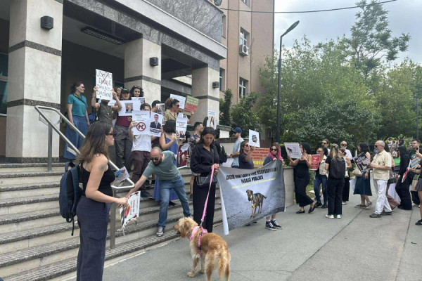 Përmes protestës kërkohet trajtim më i mirë i qenve endacakë