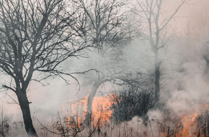 Rreziku nga zjarret, policia në Pejë apel për kujdes: Shmangni ndezjen!