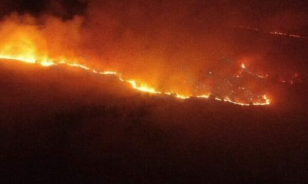 Zjarr masiv në Devoll, flakët përhapen me shpejtësi drejt Kapshticës