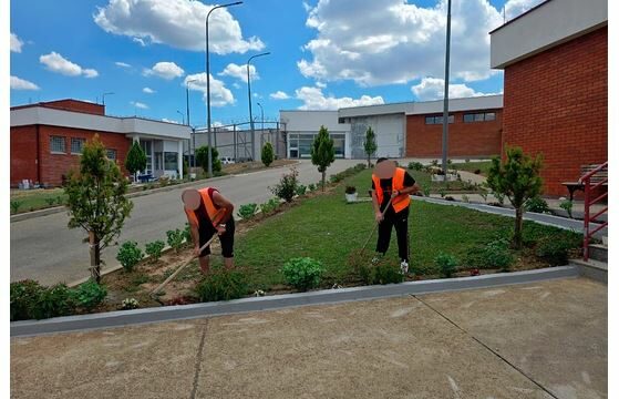 Të burgosurit në Prishtinë kontribuojnë në gjelbërim e Shërbimit Korrektues të Kosovës