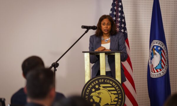 Prattipati: Ato që i rrisin tensionet e pengojnë SHBA-në të punojë me Kosovën, institucionet paralele duhen mbyllur, por me koordinim