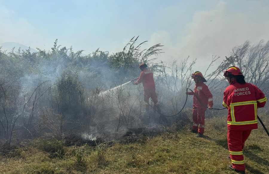 38 vatra zjarri për 24 orë në Shqipëri