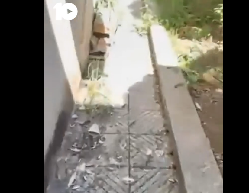 Rrëmujë, papastërti – Kjo është gjendja në hapësirat e jashtme të Spitalit të Përgjithshëm të Ferizajt