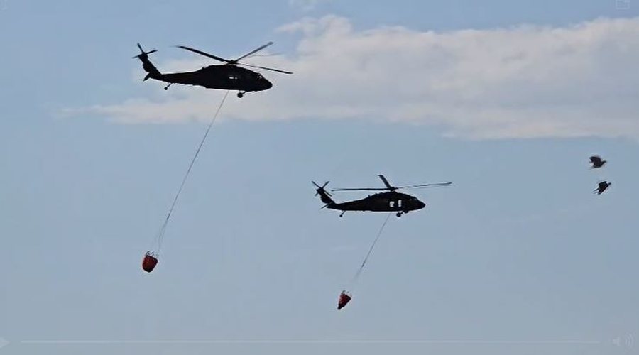 34 vatra zjarri në 24 orë në Shqipëri, helikopterë dhe forca speciale në terren