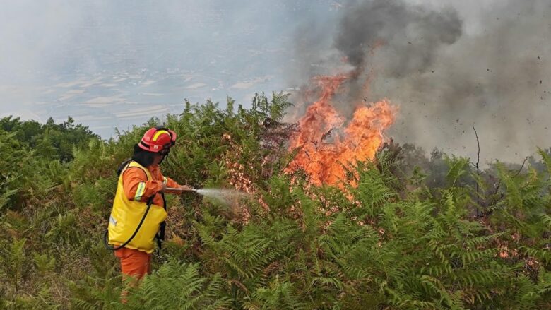 Zjarri del jashtë kontrollit në një fshat në Viti – arrestohet një person