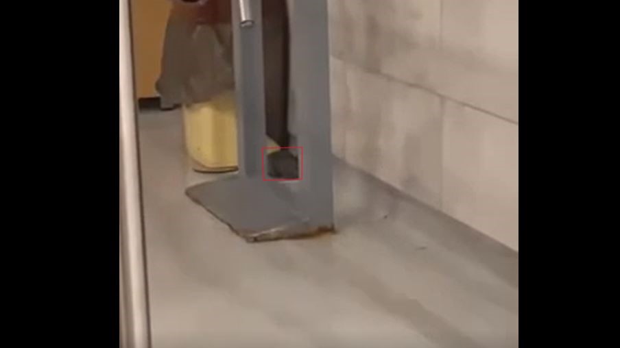 Minj në Menzën e studentëve – A ishte ky shkaku i helmimit të studentëve javën e kaluar (VIDEO)