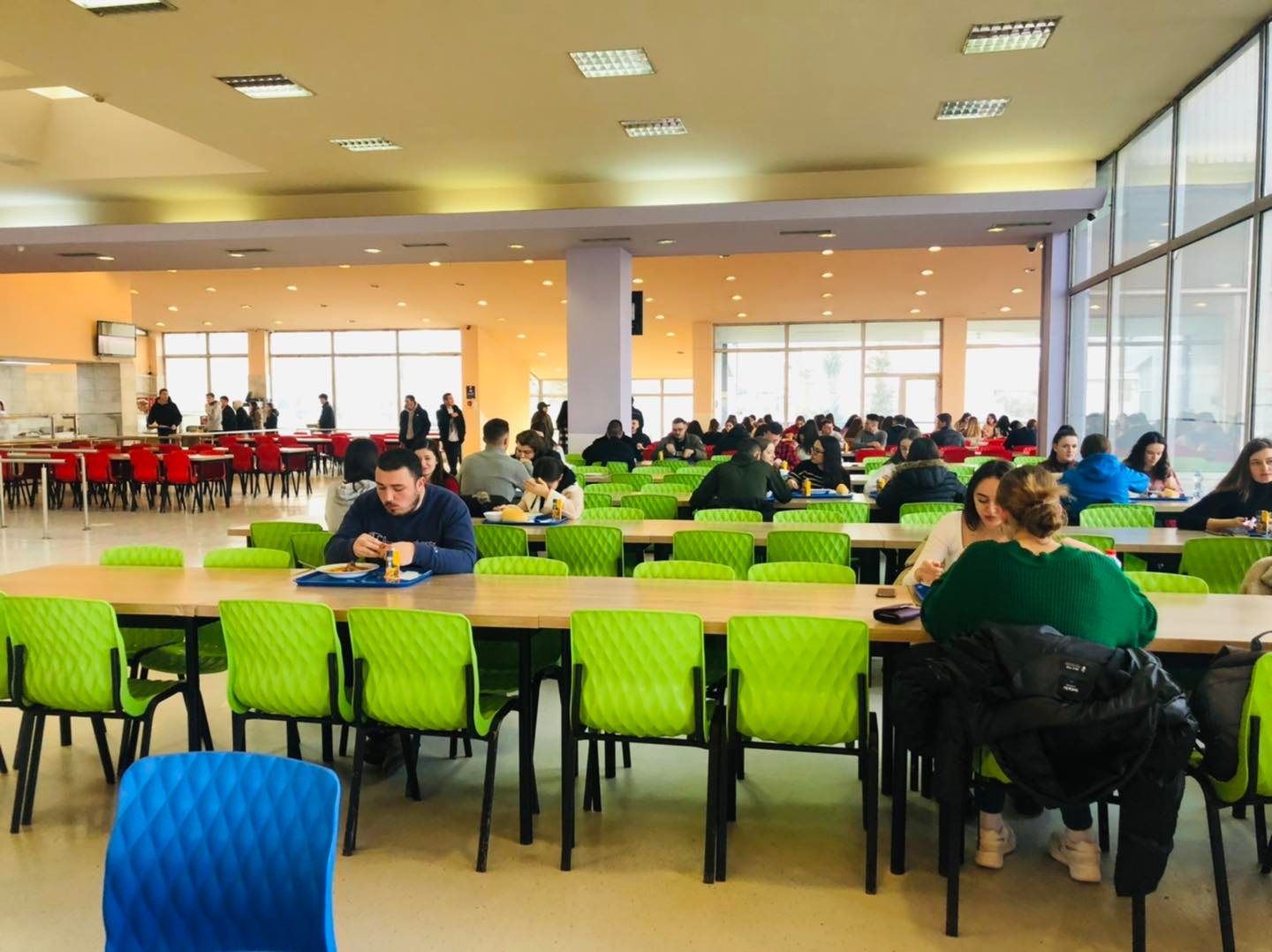 Miu në Menzën e UP-së, flet drejtori: Në fundjavë mbyllet për dezinfektim