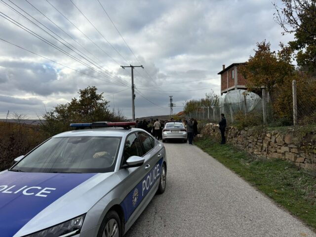 I dyshuari për vrasjen e dy vëllezërve në kërkim edhe nga njësiti policor K9