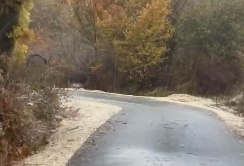 Aksidentohet traktori në Istog, lëndohet shoferi