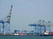 Çmimet e naftës bien mes rritjes së ofertës