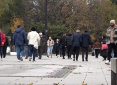 Çmimet tejet të larta – Qytetarët ankohen, fajësojnë edhe Qeverinë