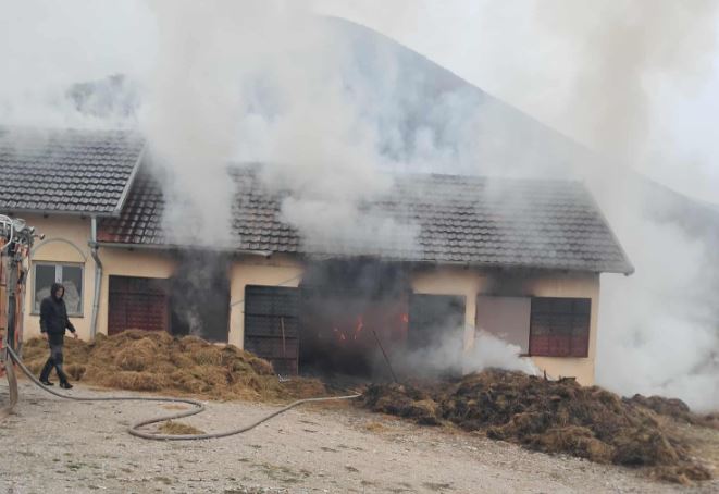 perfshihet-nga-flaket-nje-stalle-ne-shkoze-te-prizrenit-s-ka-te-lenduar