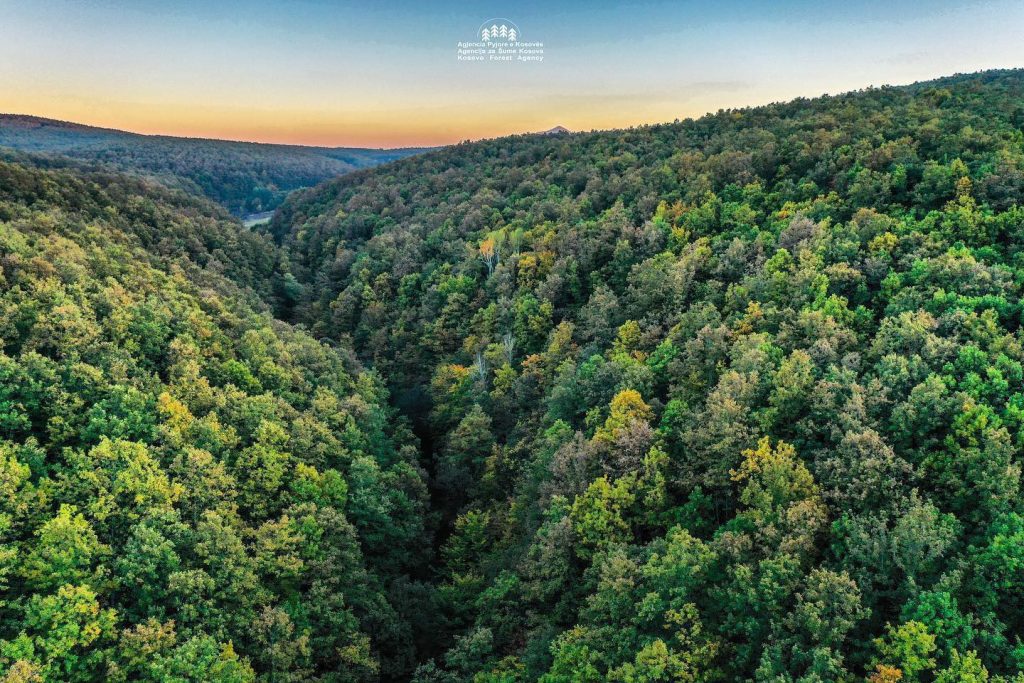 Sot përurohet Qendra për ngritjen e kapaciteteve në pylltari