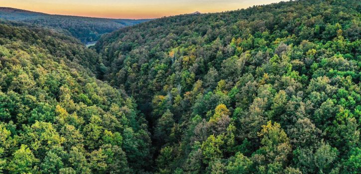 Sot përurohet Qendra për ngritjen e kapaciteteve në pylltari