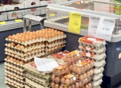 ​Vezët po bëhen luks